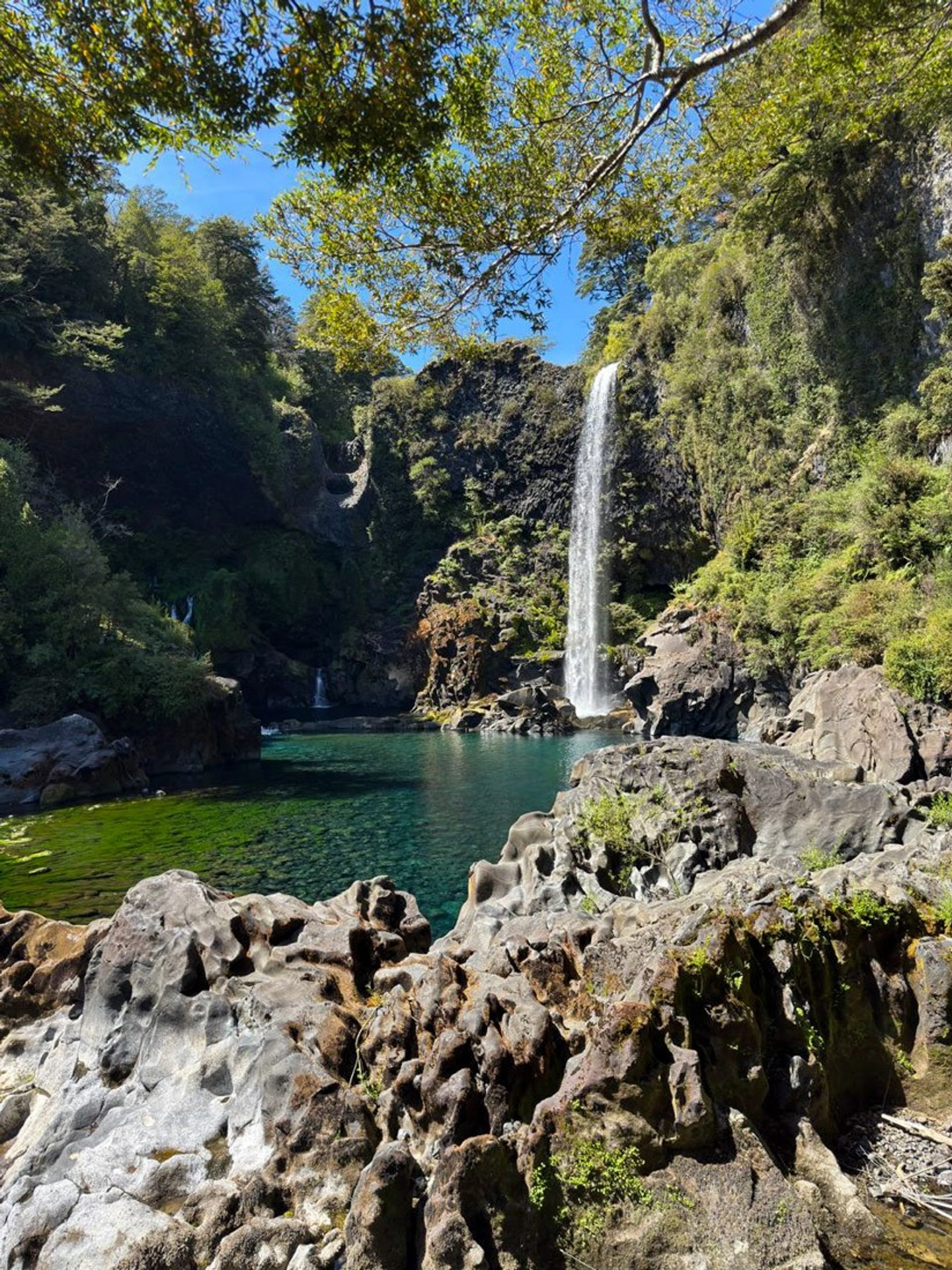 Tour Full Day Huilo Huilo